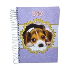 CADERNO CD PUP 15X1 300F 594