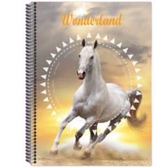 Caderno Cd 1/4 Wonderland 200f 743