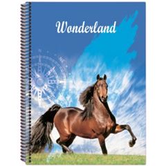 Caderno Cd 1/4 Wonderland 200f 743