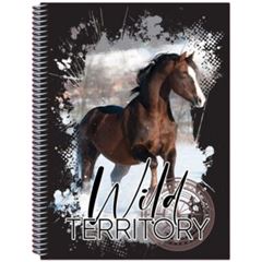 CADERNO CD 1/4 COST WONDERLAND 96F