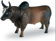 FARM ANIMALS TOURO 0519