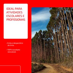 Chamex 75g A4 500 Folhas