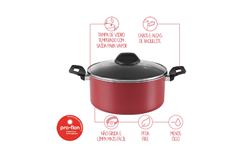 CACAROLA GARLIC 24 VM 7001/361