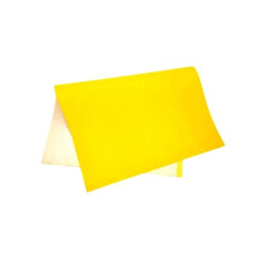 PAPEL CAMURCA ARTFL 25F AM 08