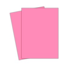 CARTOLINA COM LEAL 50X66 140G RS