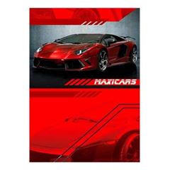 CADERNO BROCH UNIV CD MAXICARS 96F 4520