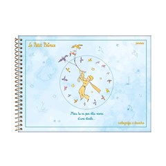CADERNO CARTOG CD PEQ PRINC 96F 62525
