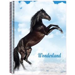 CADERNO CD 1/4 WONDERLAND 96F 748
