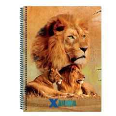 CADERNO CD X-ANIMAL 10X1 140F 84