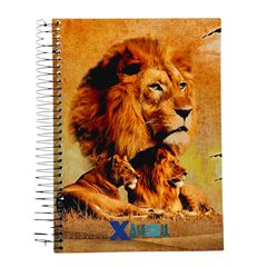 CADERNO CD X-ANIMAL 15X1 210F 903