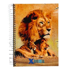 CADERNO CD X-ANIMAL 20X1 280F 904