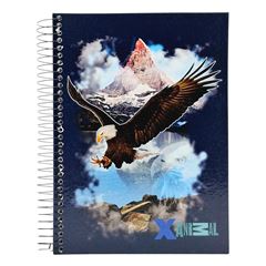 CADERNO CD X-ANIMAL 20X1 280F 904