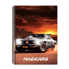 CADERNO CD MAXICARS 12X1 168F 201