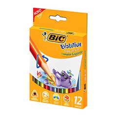 LAPIS GRAFITE COLORCIS 12P 0169