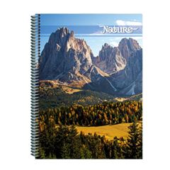 CADERNO CD NATURE 1X1 96F 5057