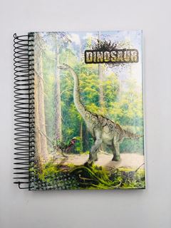 CADERNO CD DINO 15X1 300F 5223