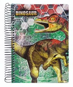 CADERNO CD DINO 15X1 300F 5223