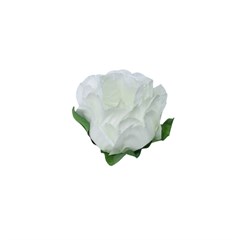FORMA PEONIA 30 BCA