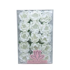 FORMA PEONIA 30 BCA