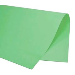 CARTOLINA PR DUP 20F VD PASTEL 11046