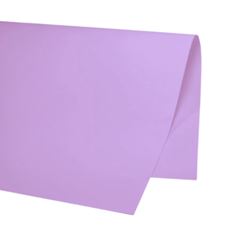 CARTOLINA PR DUP 20F LL PASTEL 00589