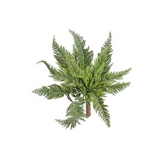 FOLHA SAMAMBAIA 37CM VM 66266003