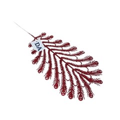 FOLHA SAMAMBAIA 36CM. VM 66307002