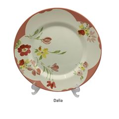 Prato Raso Alleanza Plus - Modelos Variados