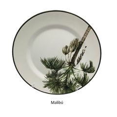 Prato Raso Alleanza Plus - Modelos Variados