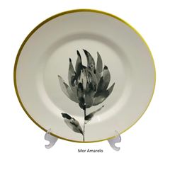 Prato Raso Alleanza Plus - Modelos Variados