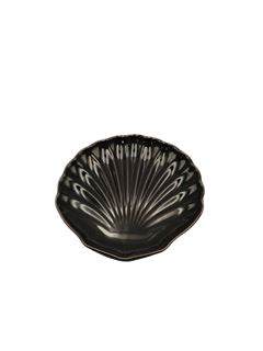 PRATO CONCHA PB PIMEN 147264601