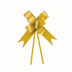 LACO LISO 22MM 10P OUR 1230076