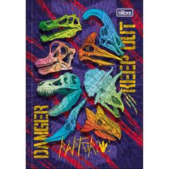 CADERNO 1/4 BROCH RAPTOR 80F 309575