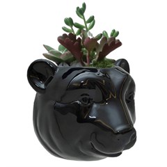 CACHEPOT CABECA URSO PTA AL90531-1