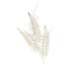 ENFT PICK SETARIA 80X16CM RMT9107