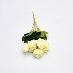 BQ ROSA 33CM X7 CRM 39228001