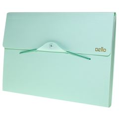 PASTA SANF DELLO A4 12DIV SER VD 6096 VP