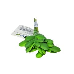FLORES ARTIFICIAIS 25248