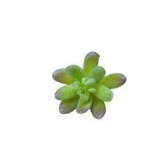 FLORES ARTIFICIAIS 25208