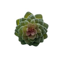 FLORES ARTIFICIAIS 25210