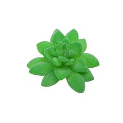FLORES ARTIFICIAIS 25225