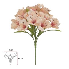 BQ ASTROMELIA 34CM X15 PESSEG 42850011