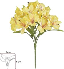 BQ ASTROMELIA 34CM X15 AM 42850005