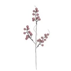 GALHO NAT CROM FRUT PEROL REG 1022722