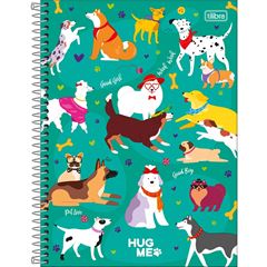 CADERNO CD HUG ME 10X1 160F 314137