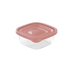 POTE PLASVALE MAIS 250ML 1825