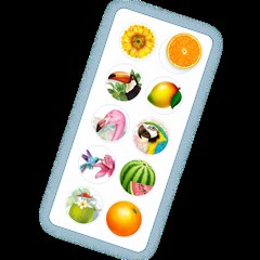 ADESIVO 20P TROPICAL 1159