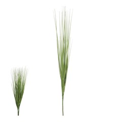 GL CAPIM C/PRINT 55CM X28 VD 42603001