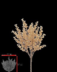 FL EUCALIPTO 35CM X35. PALHA 43304003