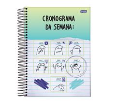 Caderno Capa Dura 15x1 Flork 240 Folhas